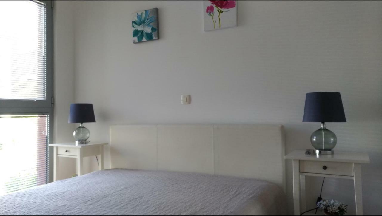 Ðenovići Apartments Acacia Hill מראה חיצוני תמונה