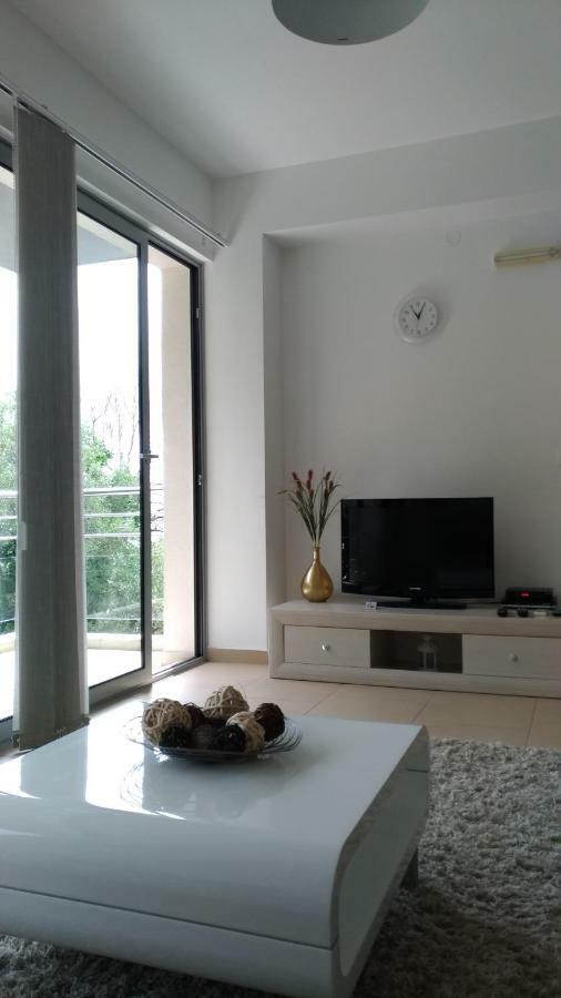 Ðenovići Apartments Acacia Hill מראה חיצוני תמונה